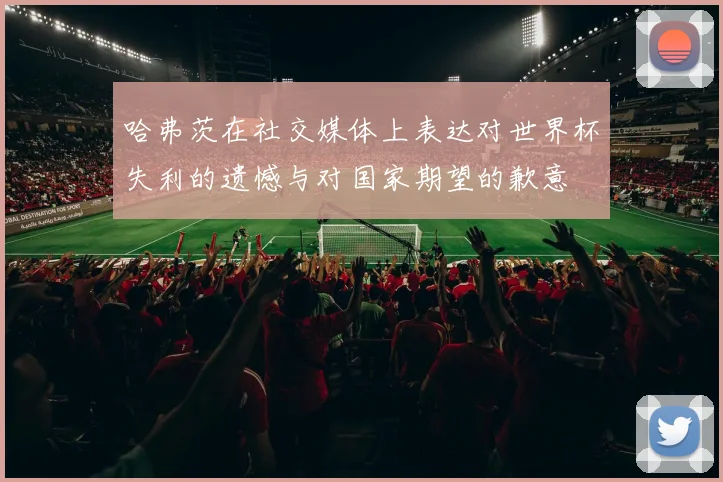 哈弗茨在社交媒体上表达对世界杯失利的遗憾与对国家期望的歉意